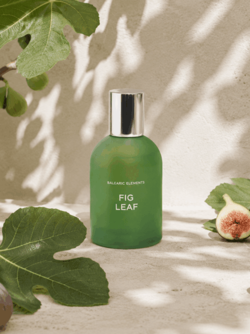 ELEMENTS<br> FIG LEAF Eau de Toilette Summer Fragrance (50 ml)