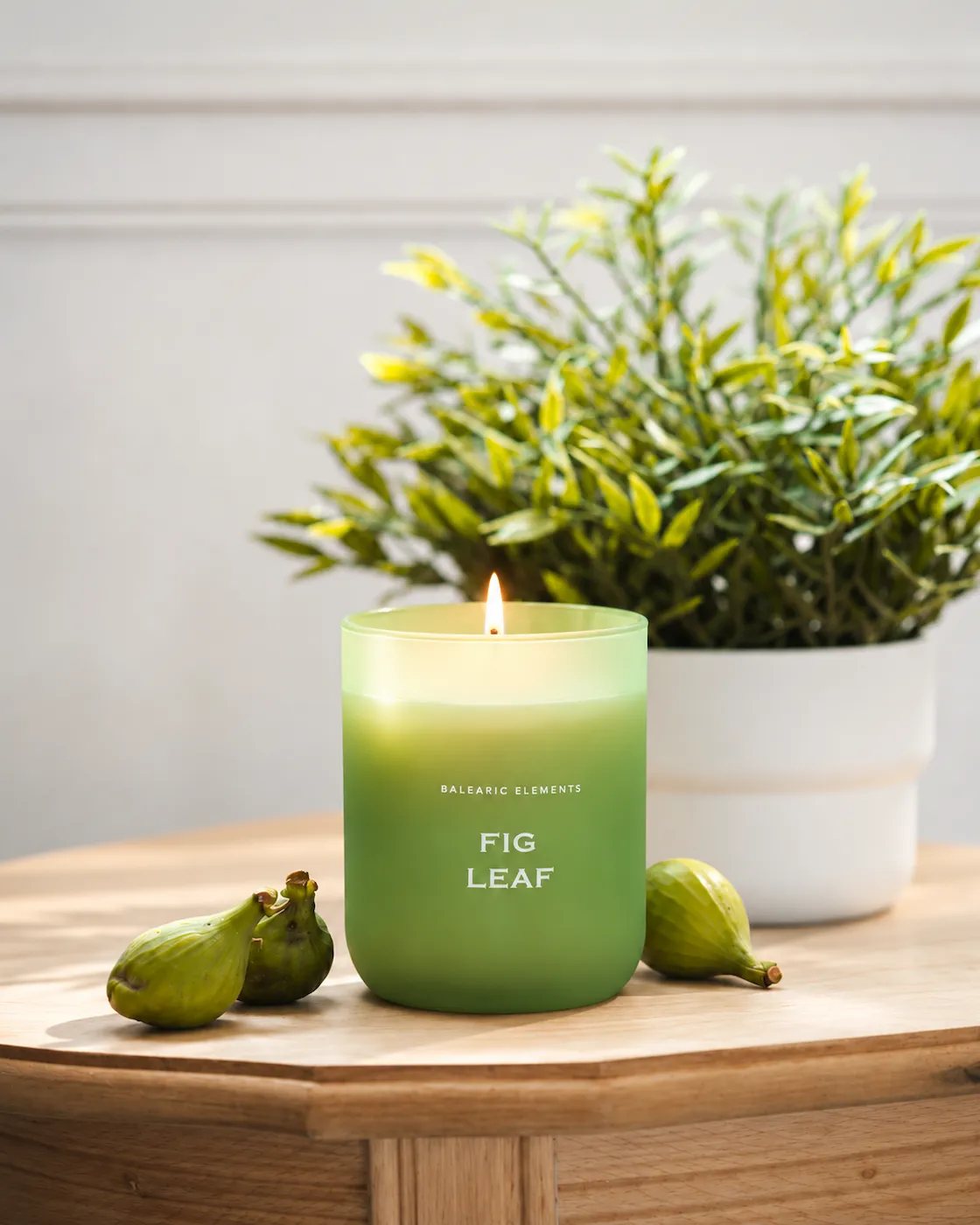 Aromatic candle FIG LEAF Seasonal Collection