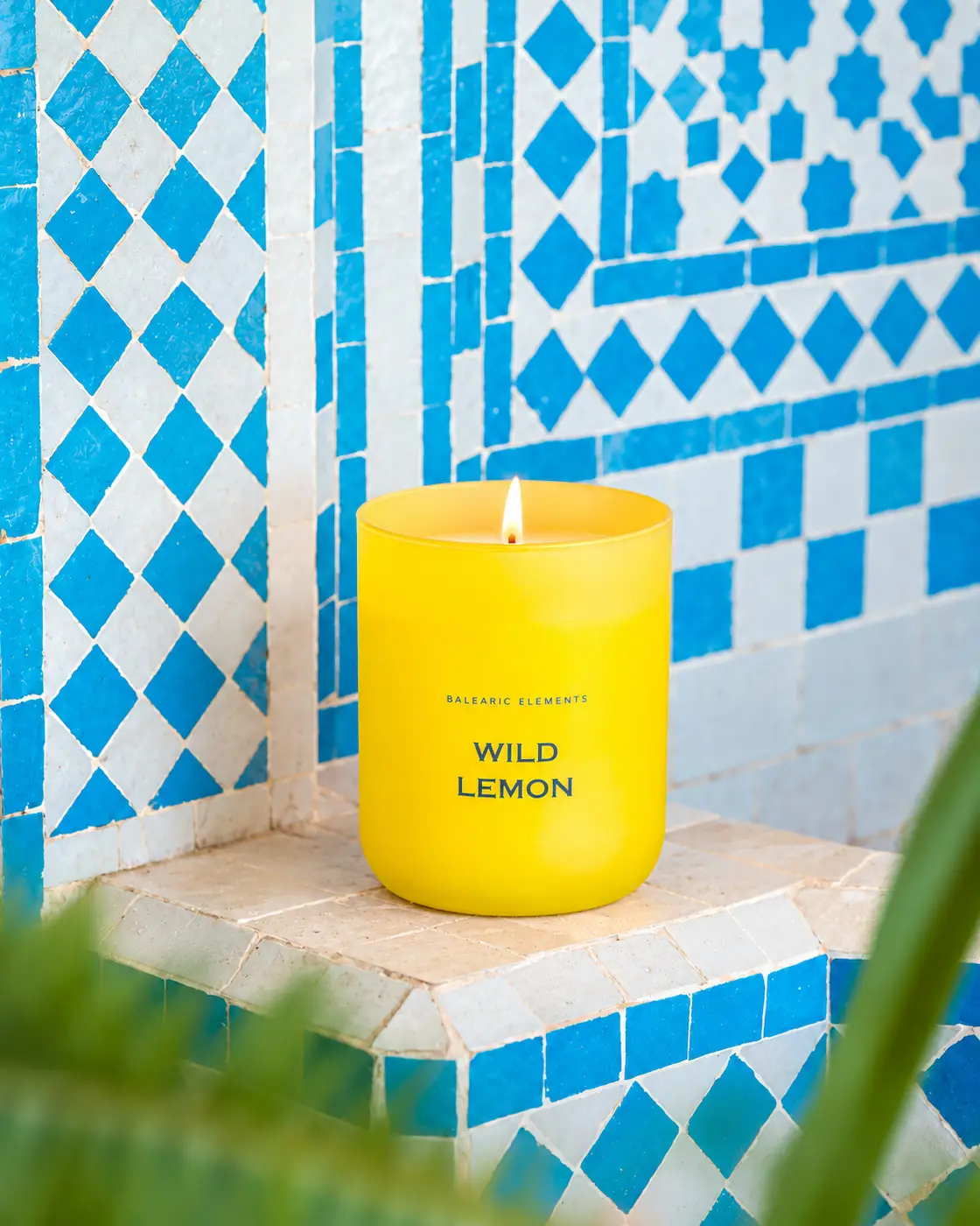 Aromatic candle WILD LEMON