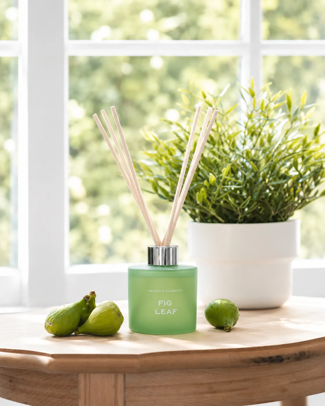 Mikado FIG LEAF Seasonal Collection